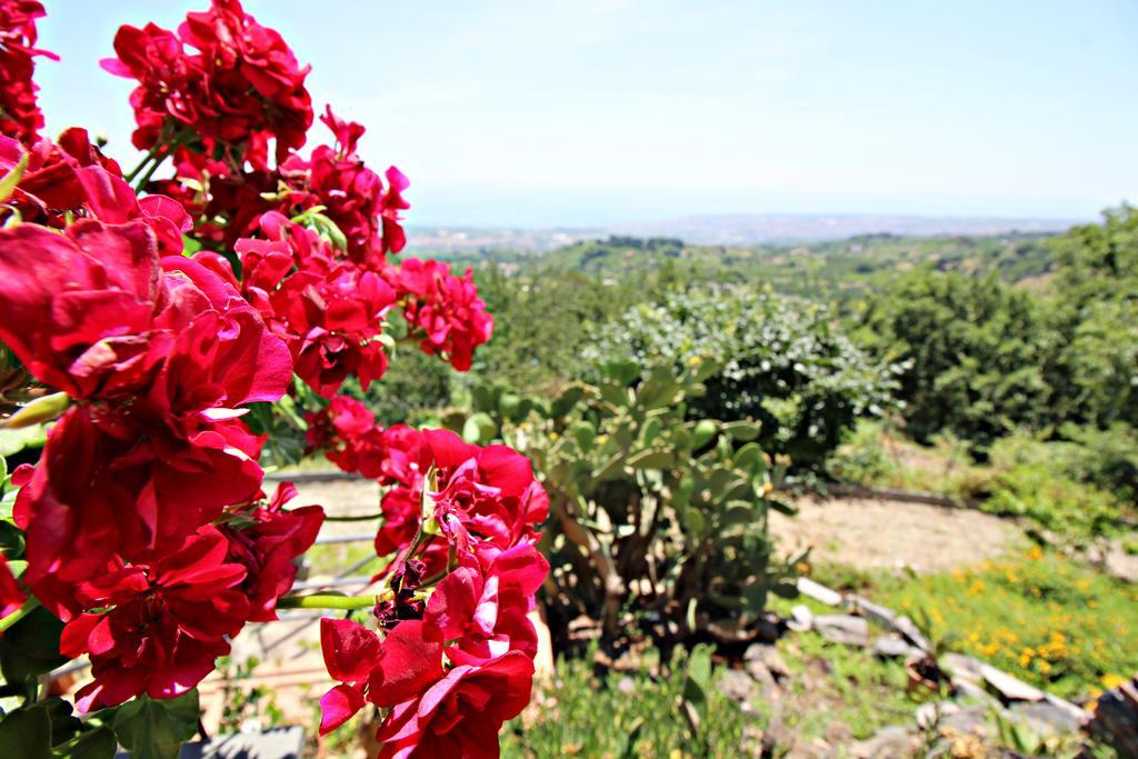 Bellavista Etna * Mascali
