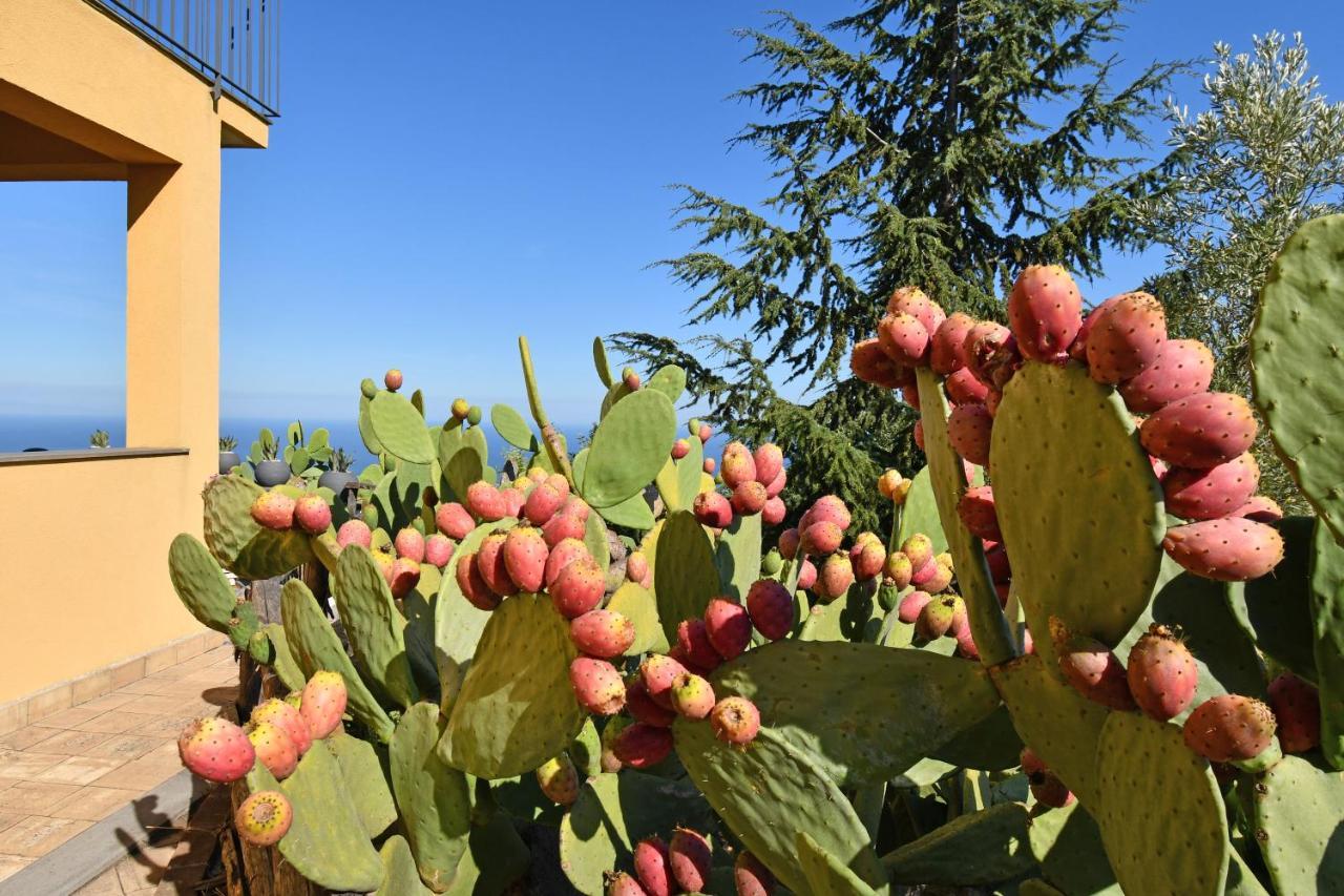 Belvedere Etna Mare Casa vacanze *